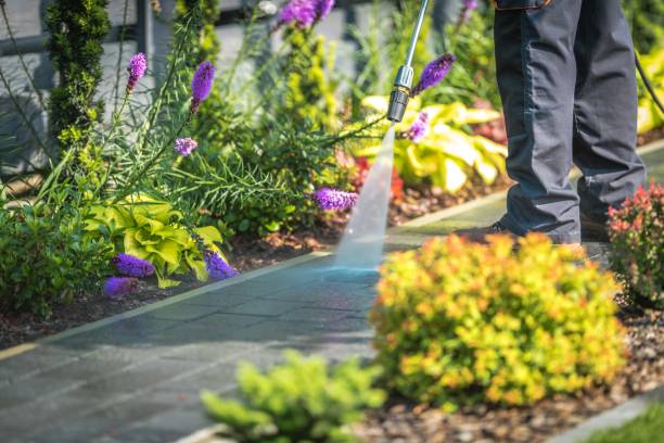 Best Fence Cleaning  in Corona, CA